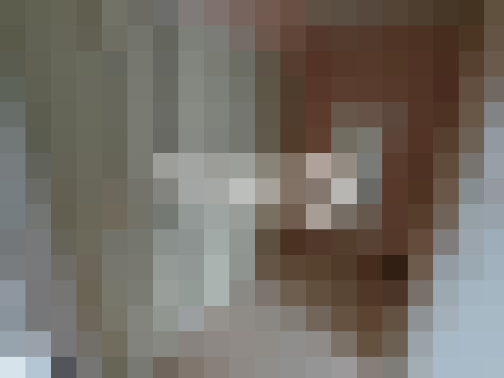  / #21