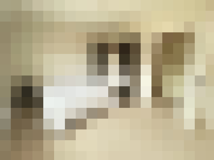  / #9