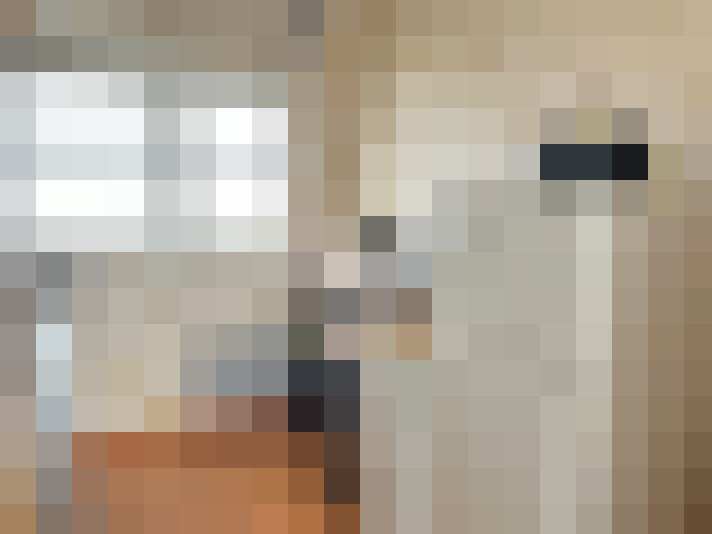  / #23