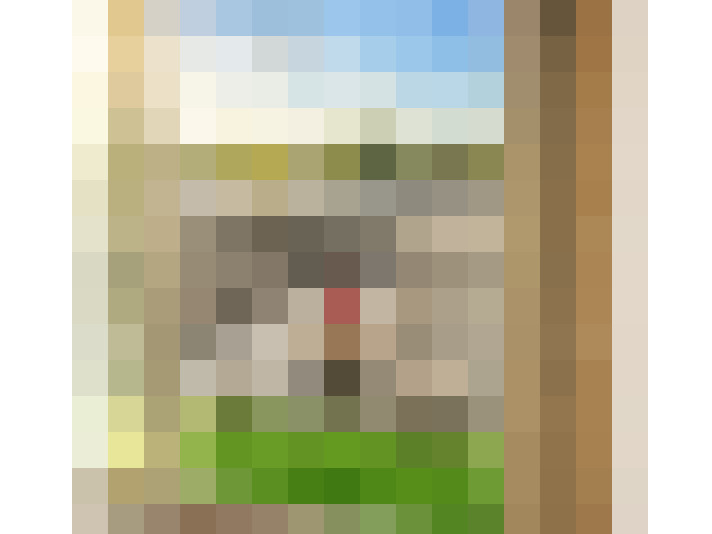  / #8