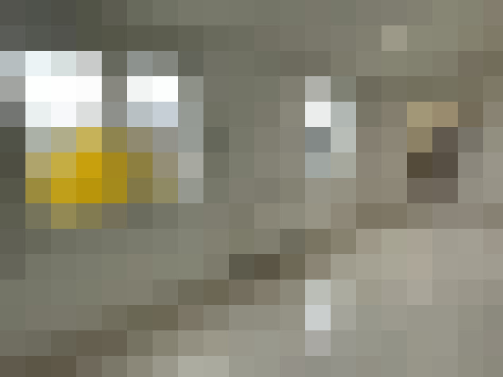  / #7