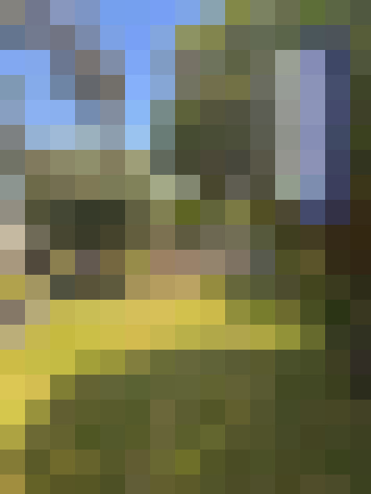  / #15