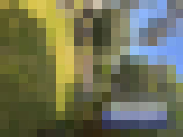  / #14