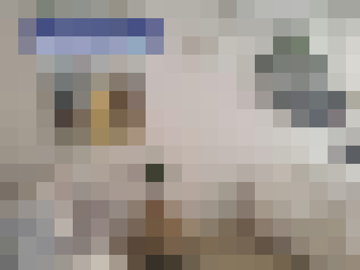  / #9