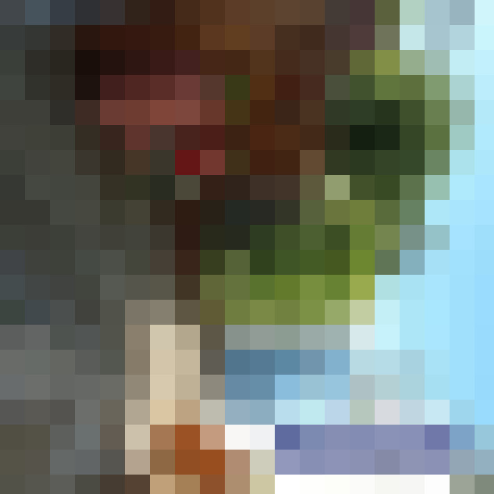  / #11