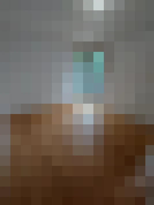  / #11