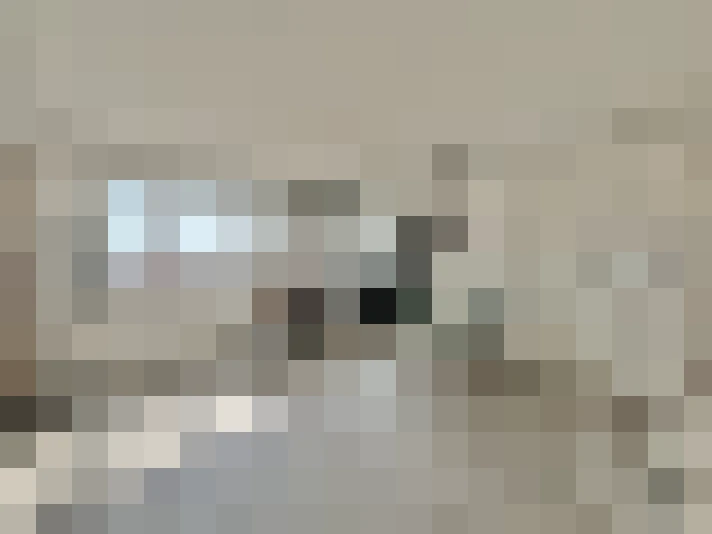  / #16