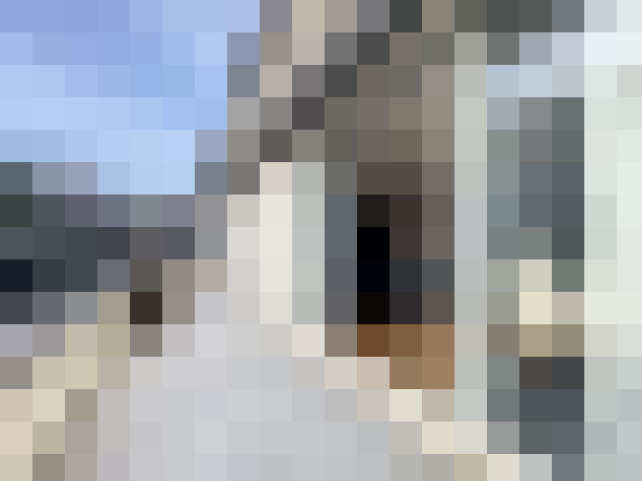  / #7