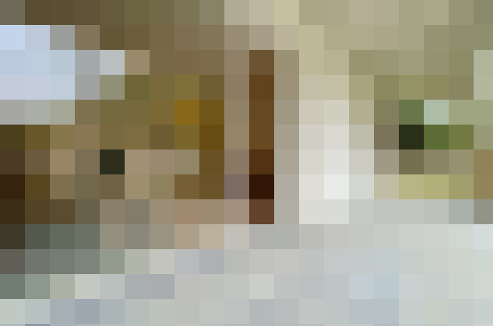  / #8