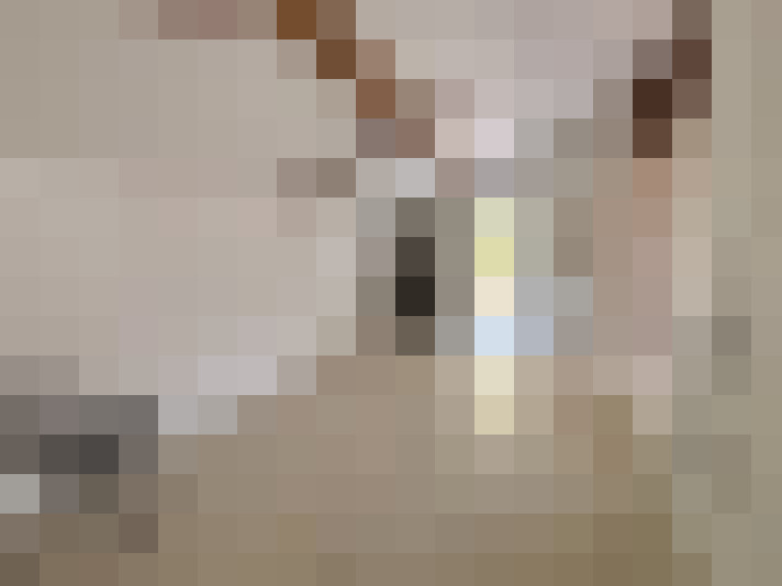  / #11