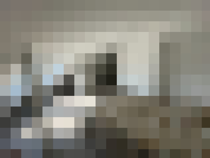  / #14