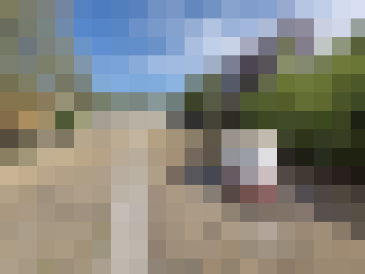  / #16