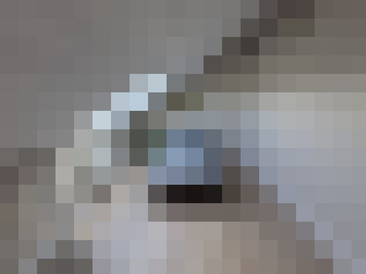  / #11