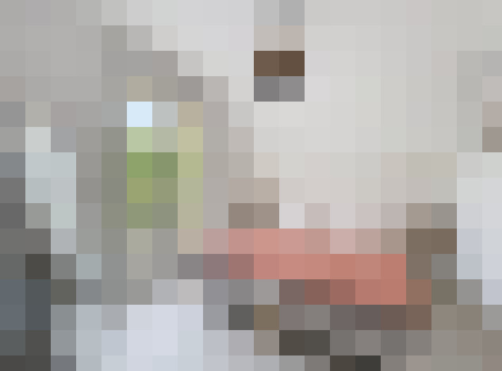  / #9