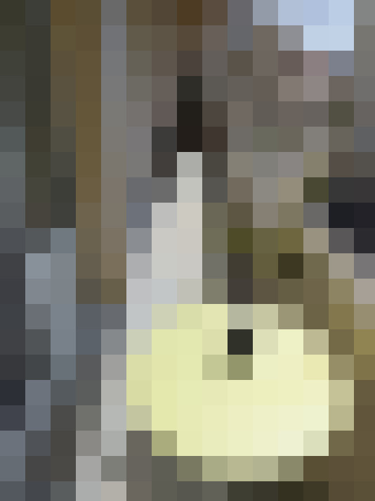  / #8