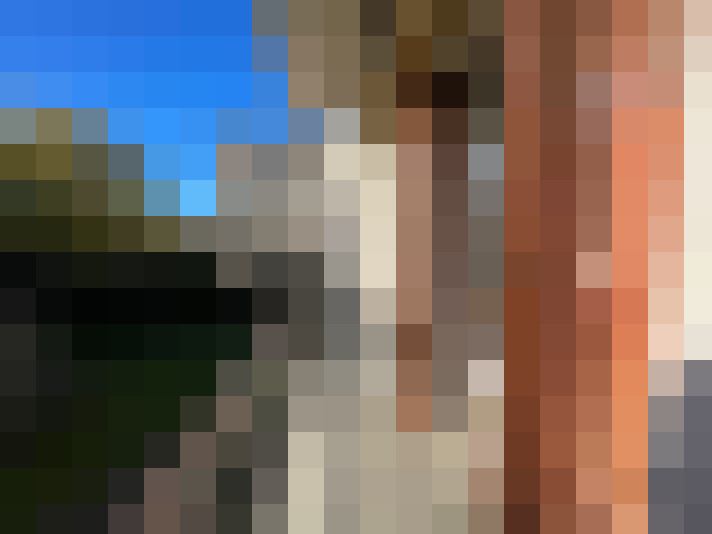  / #11