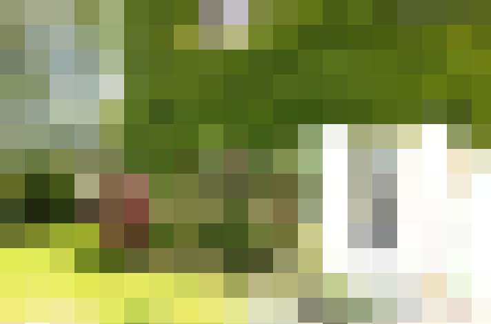  / #13