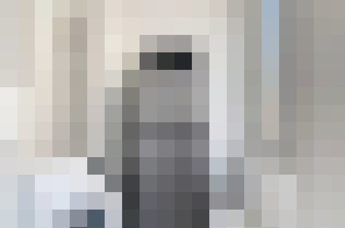  / #9