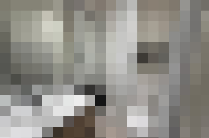  / #8