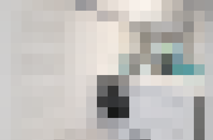  / #23
