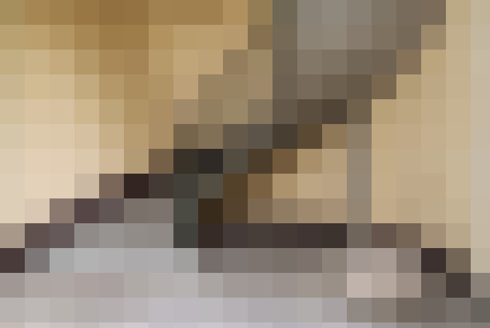  / #16
