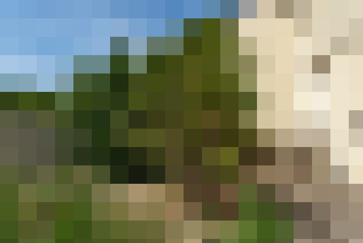  / #17