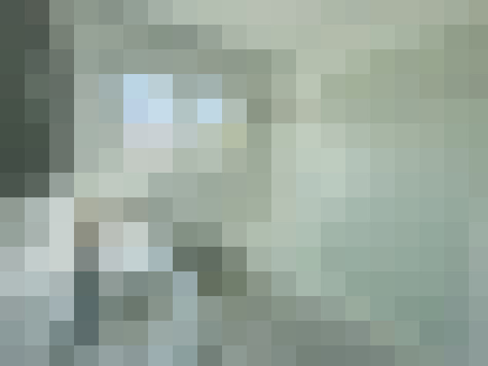  / #7