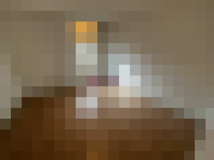  / #11