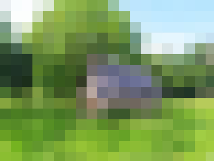  / #11