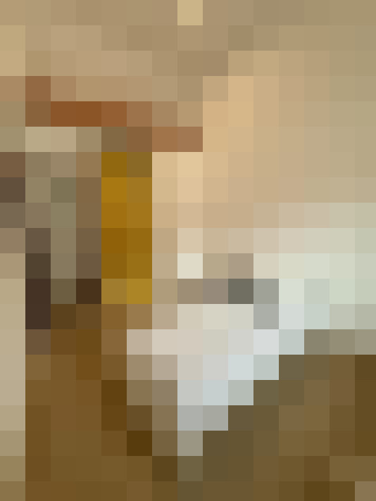  / #16