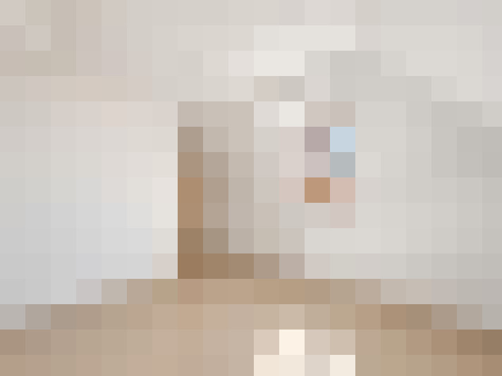  / #11