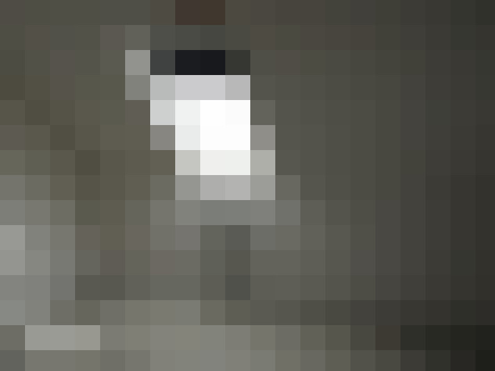  / #14