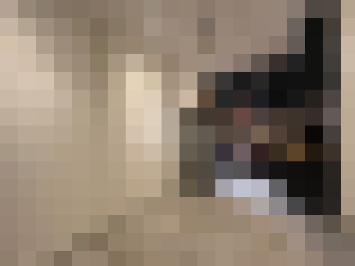  / #8
