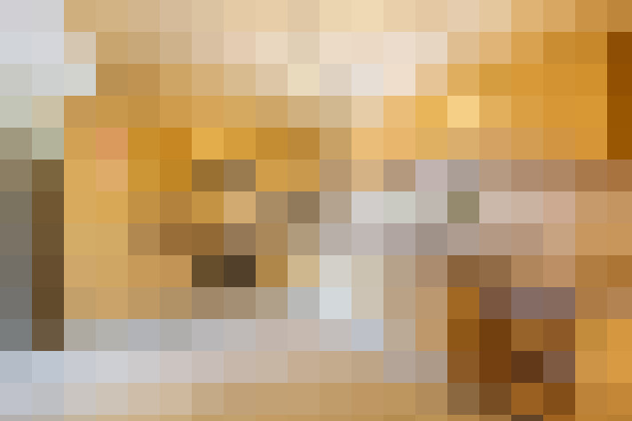  / #14