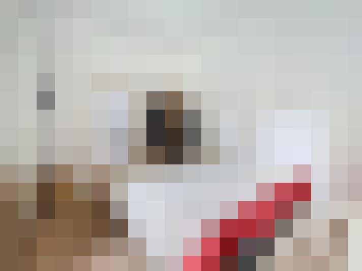  / #7