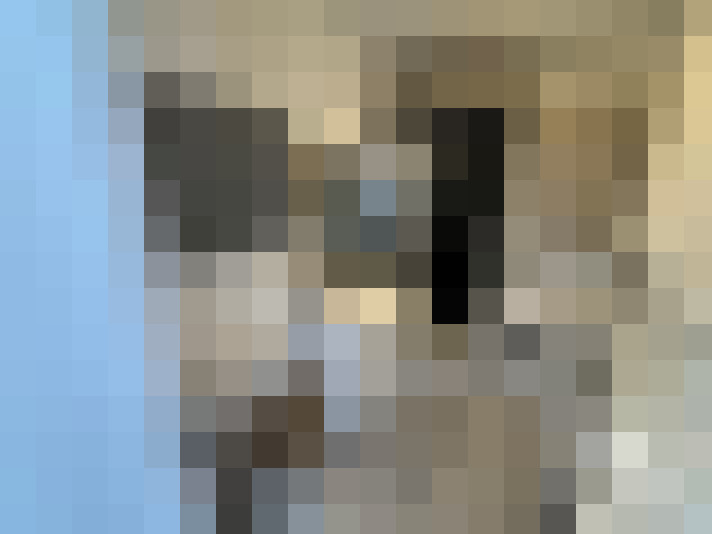  / #7