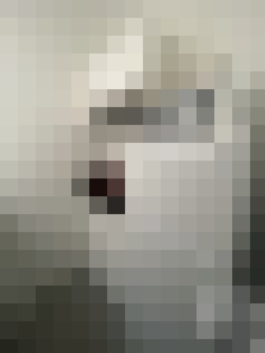  / #13