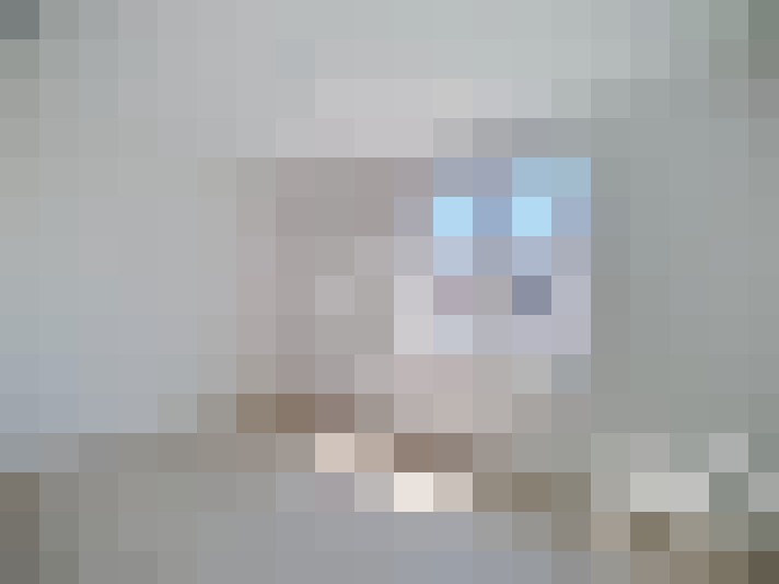  / #7