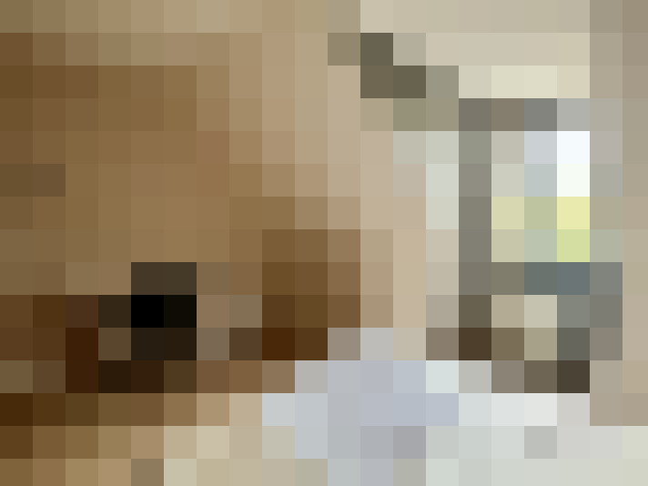  / #14