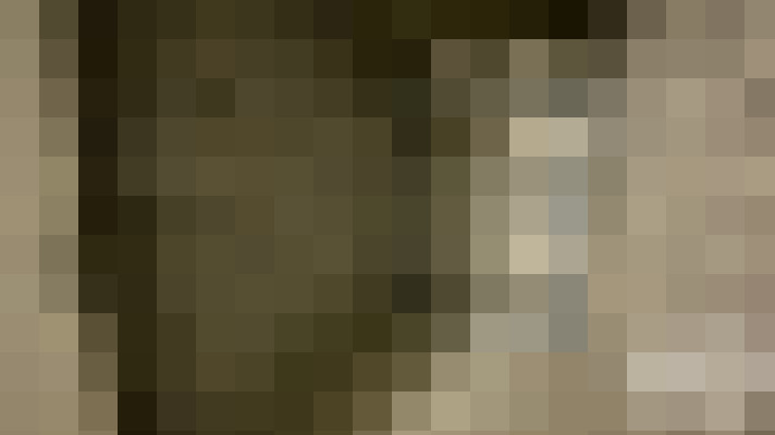  / #11