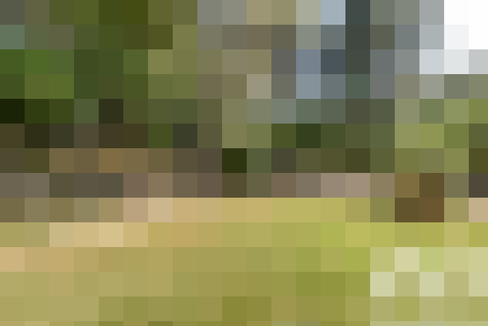  / #17