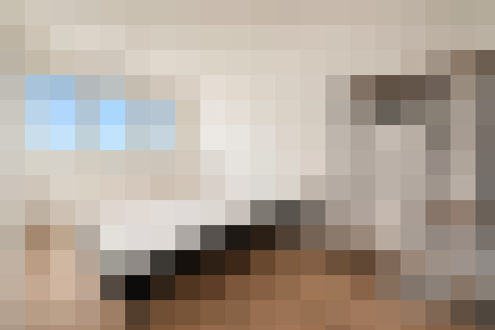  / #7