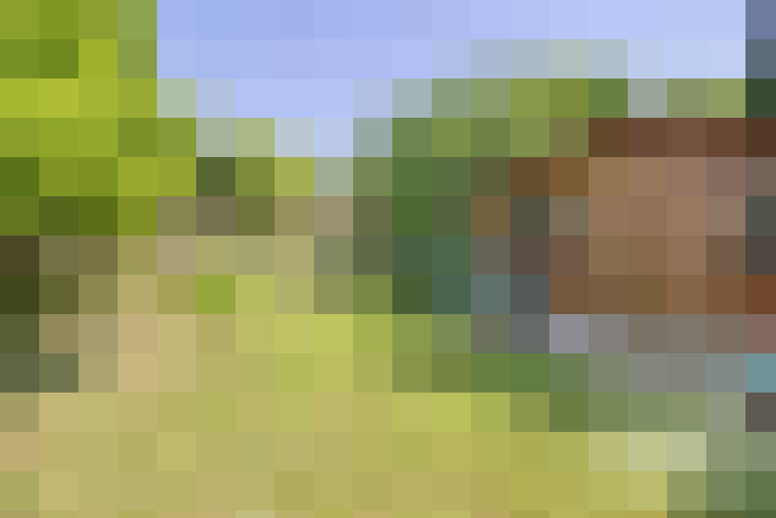  / #9