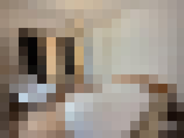  / #17