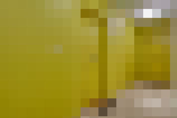  / #14