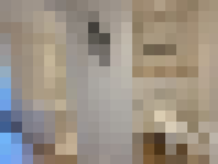  / #11