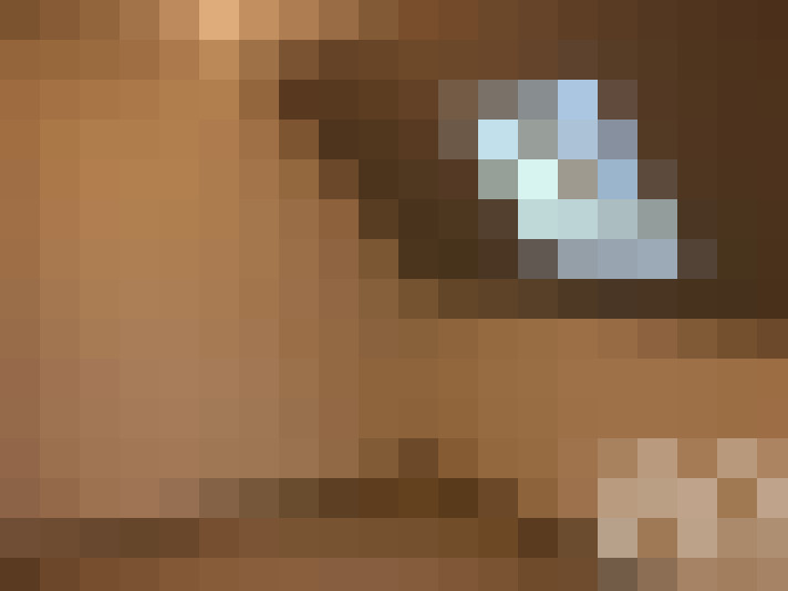  / #5