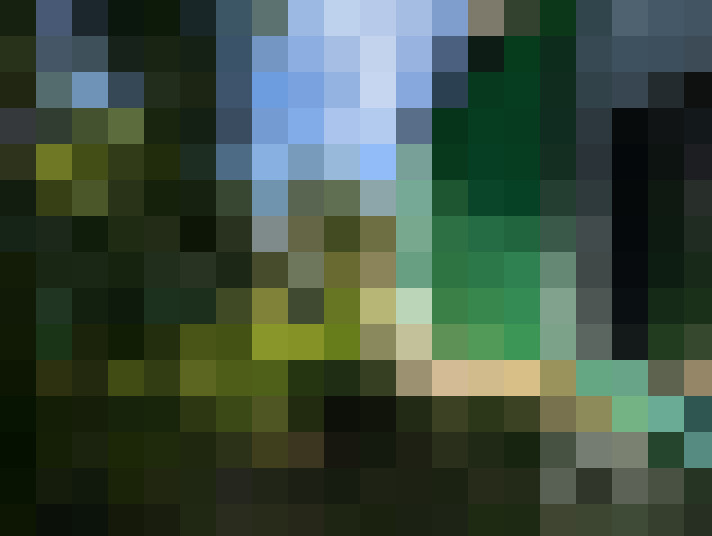  / #17