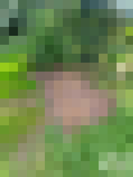  / #13