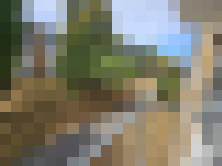  / #7